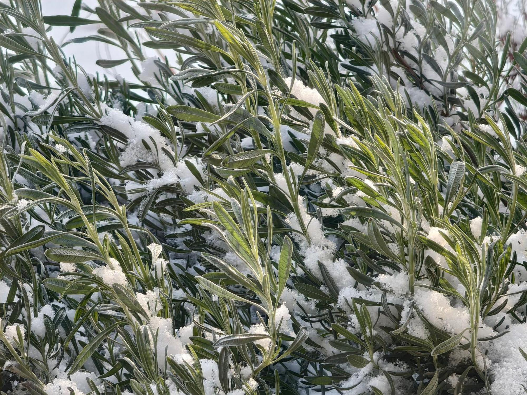 Rifugio Retreat Bed&Breakfast Κακοπετριά Εξωτερικό φωτογραφία